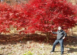 2014.11.9   속리산.법주사.