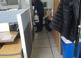 *산**수영장.소독