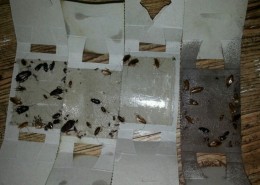 신규계약3일뒤다른거래처