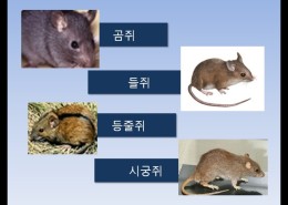 방역시스템